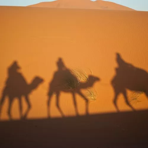 La liberté et la sérénité du désert marocain Visuel